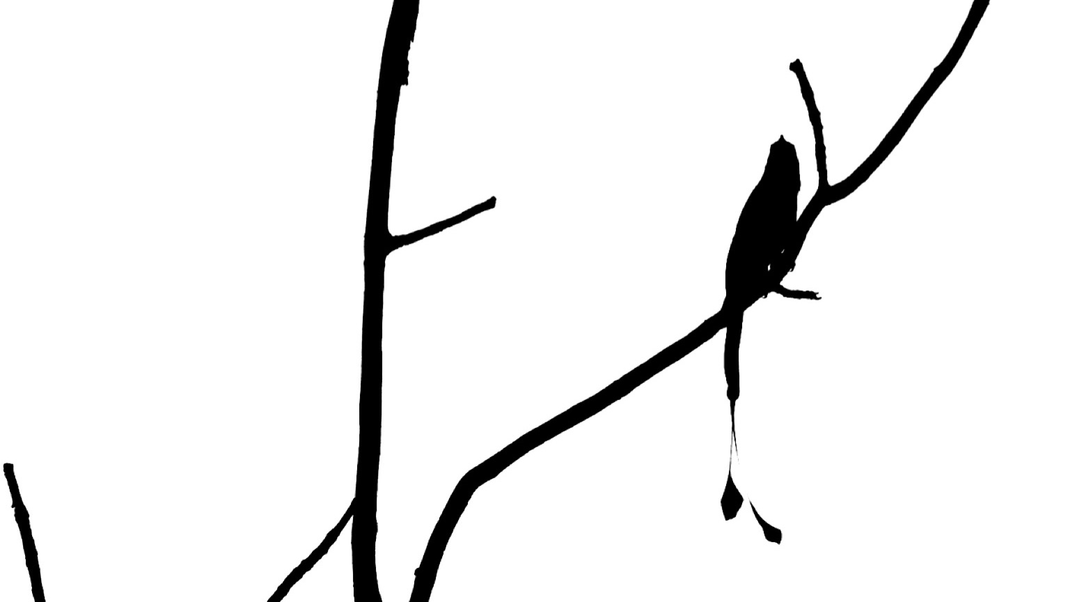 Picsart banner for @spectator